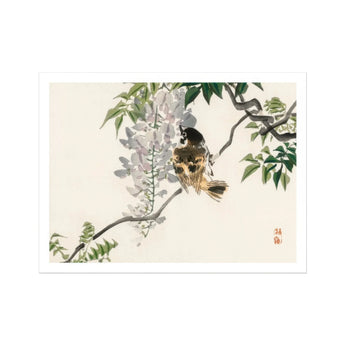 Sparrow on a Branch - Kōno Bairei Meiji Era Art Print, Bird Perched Branch Wisteria Flowers Leaves
