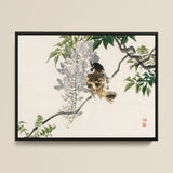 Sparrow on a Branch - Kōno Bairei Meiji Era Art Print / Canvas, 16x12’’ / 41x31cm / Black Frame, Posters Prints & Visual Artwork, Toby Leon
