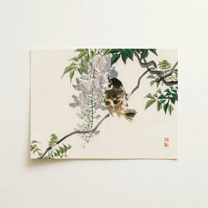 Sparrow on a Branch - Kōno Bairei Meiji Era Art Print / Canvas, 16x12’’ / 41x31cm / Unframed / no Border, Posters Prints & Visual Artwork,