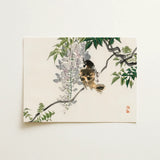 Sparrow on a Branch - Kōno Bairei Meiji Era Art Print / Canvas, 16x12’’ / 41x31cm / Unframed / no Border, Posters Prints & Visual Artwork,