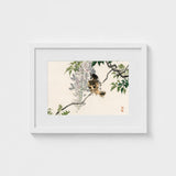 Sparrow on a Branch - Kono Bairei Meiji Era Art Print / Canvas Meiji-era Avian Marvel, Nature’s Ephemeral Beauty Prints