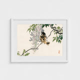 Sparrow on a Branch - Kono Bairei Meiji Era Art Print / Canvas Meiji-era Avian Marvel, Nature’s Ephemeral Beauty Prints