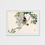 Sparrow on a Branch - Kono Bairei Meiji Era Art Print / Canvas Meiji-era Avian Marvel, Nature’s Ephemeral Beauty Prints