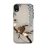 Sparrows and Wisteria - Ohara Koson Shin-hanga Iphone Case, Xr / Matte, Phone Case Decorative Design Birds Flowers Asian-inspired Style
