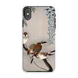 Sparrows and Wisteria - Ohara Koson Shin-hanga Iphone Case, Xs Max / Matte, Phone Case Decorative Design Birds Flowers Asian-inspired