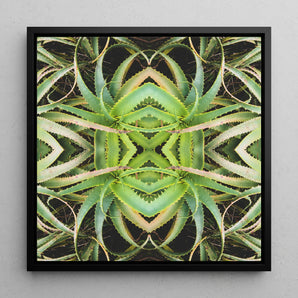 Spiked too - Aloe Vera Op Art Framed Canvas, 12x12’’ / 31x31cm / Black Floating Frame, Symmetrical Kaleidoscopic Pattern Created Mirrored