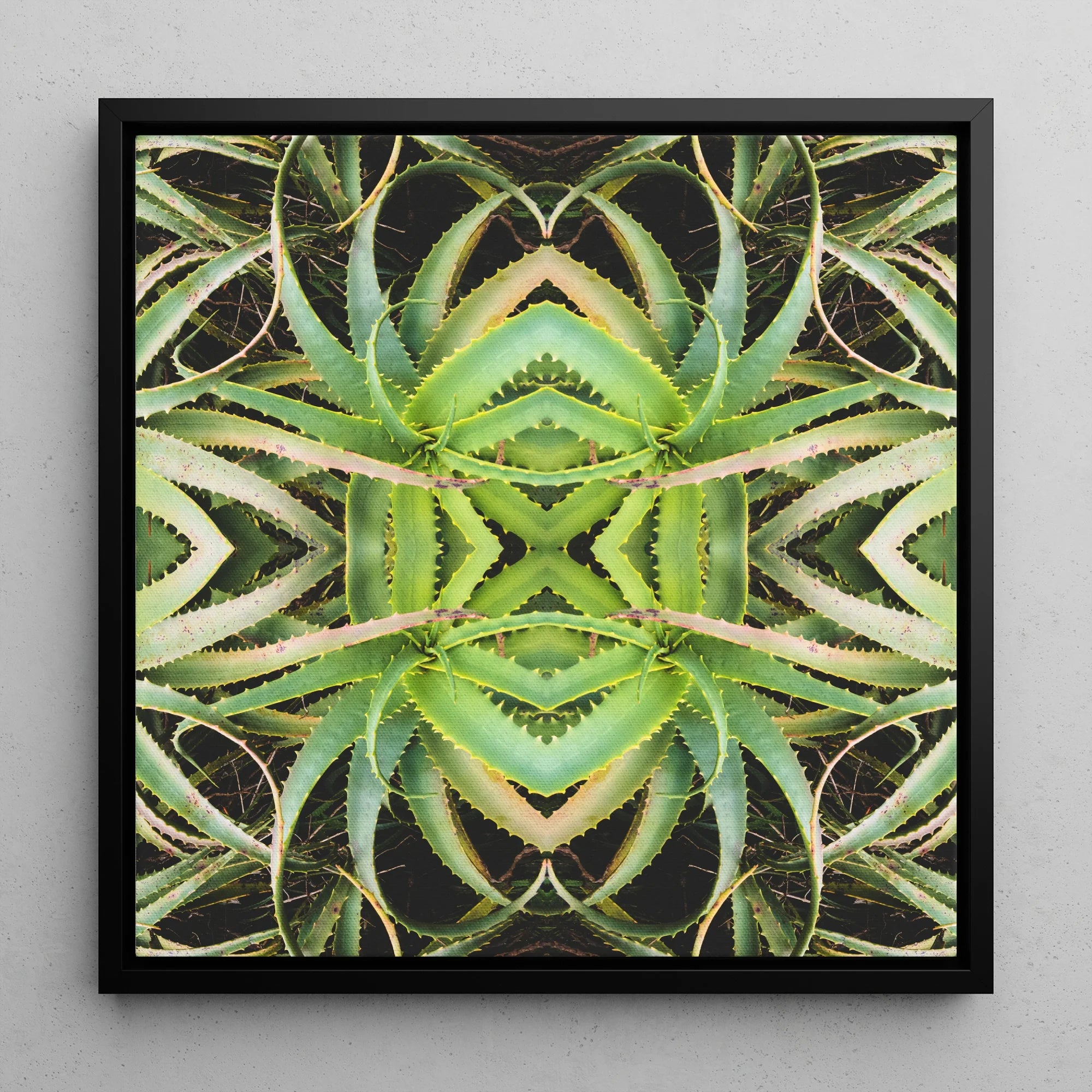 Spiked too - Aloe Vera Op Art Framed Canvas, 12x12’’ / 31x31cm / Black Floating Frame, Symmetrical Kaleidoscopic Pattern Created Mirrored