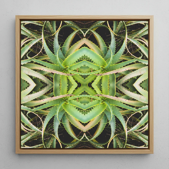 Spiked too - Aloe Vera Op Art Framed Canvas, 12x12’’ / 31x31cm / Natural Floating Frame, Framed Abstract Aloe Vera Artwork