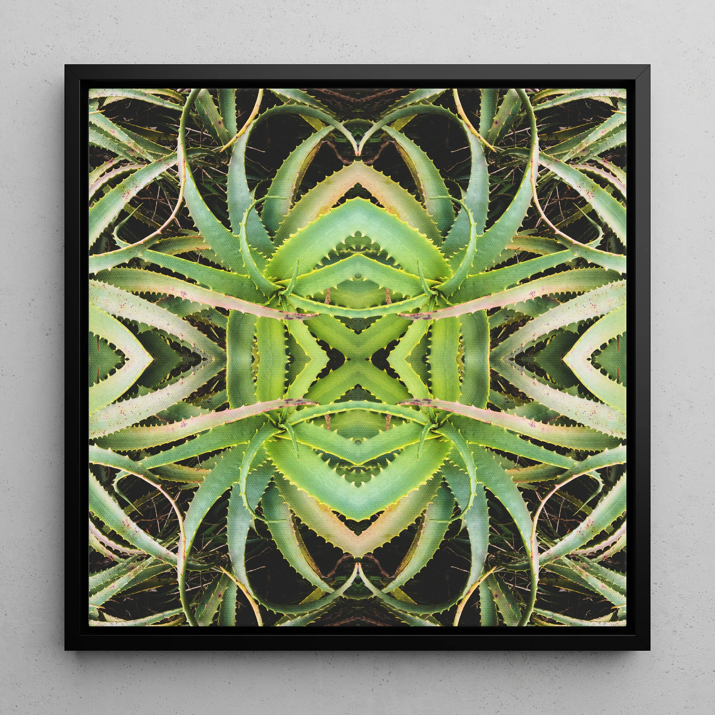 Spiked too - Aloe Vera Op Art Framed Canvas, Symmetrical Kaleidoscopic Pattern Created Mirrored Images Succulent Plant