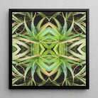 Spiked too - Aloe Vera Op Art Framed Canvas Posters Prints & Visual Artwork