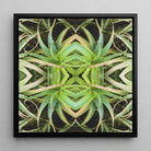 Spiked too - Aloe Vera Op Art Framed Canvas