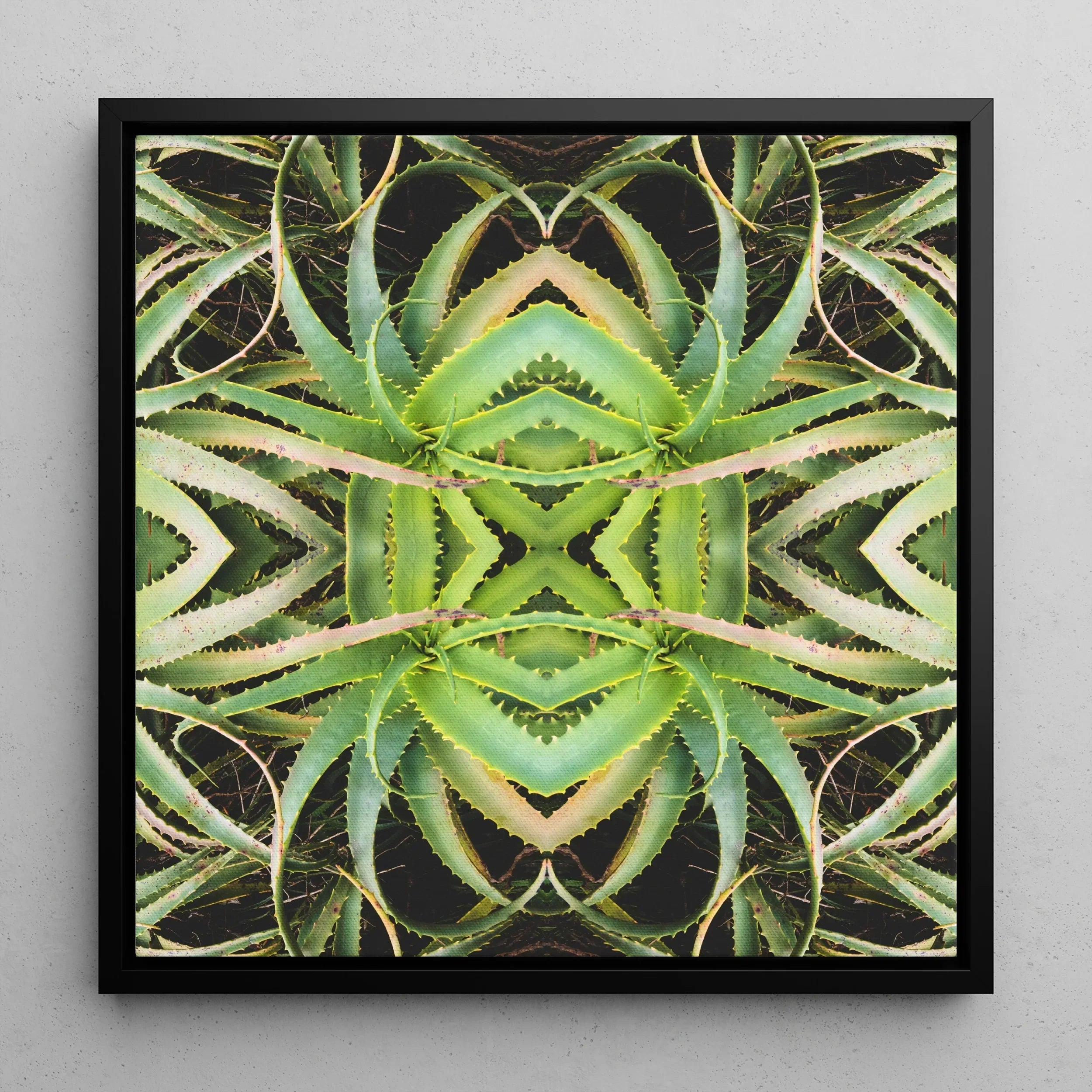 Spiked too - Aloe Vera Op Art Framed Canvas