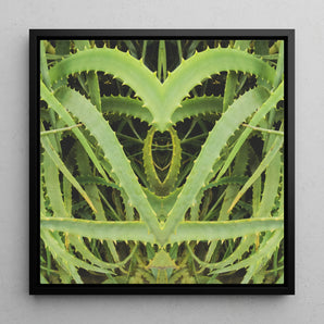 Spiked - Contemporary Aloe Vera Art Framed Canvas, 12x12’’ / 31x31cm / Black Floating Frame, Symmetrical Green Plant Leaves Heart-like
