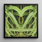 Spiked - Contemporary Aloe Vera Art Framed Canvas, 12x12’’ / 31x31cm / Black Floating Frame, Symmetrical Green Plant Leaves Heart-like