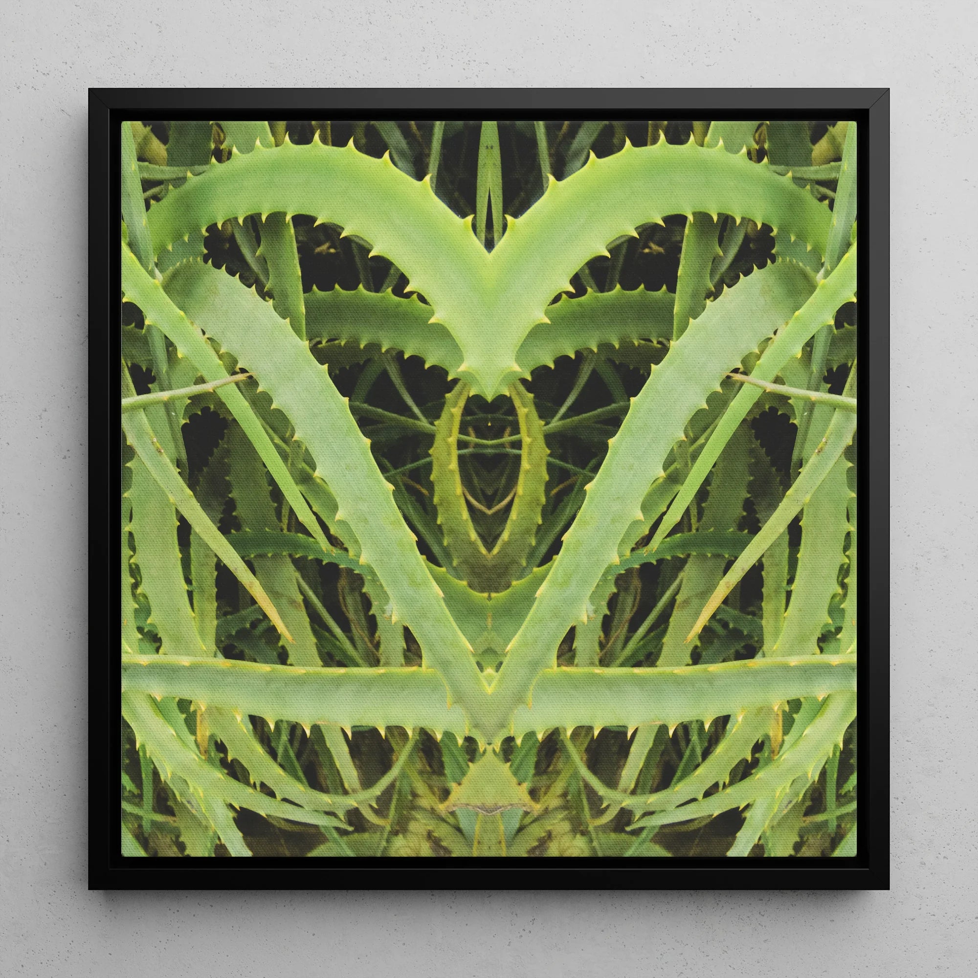 Spiked - Contemporary Aloe Vera Art Framed Canvas, 12x12’’ / 31x31cm / Black Floating Frame, Symmetrical Green Plant Leaves Heart-like