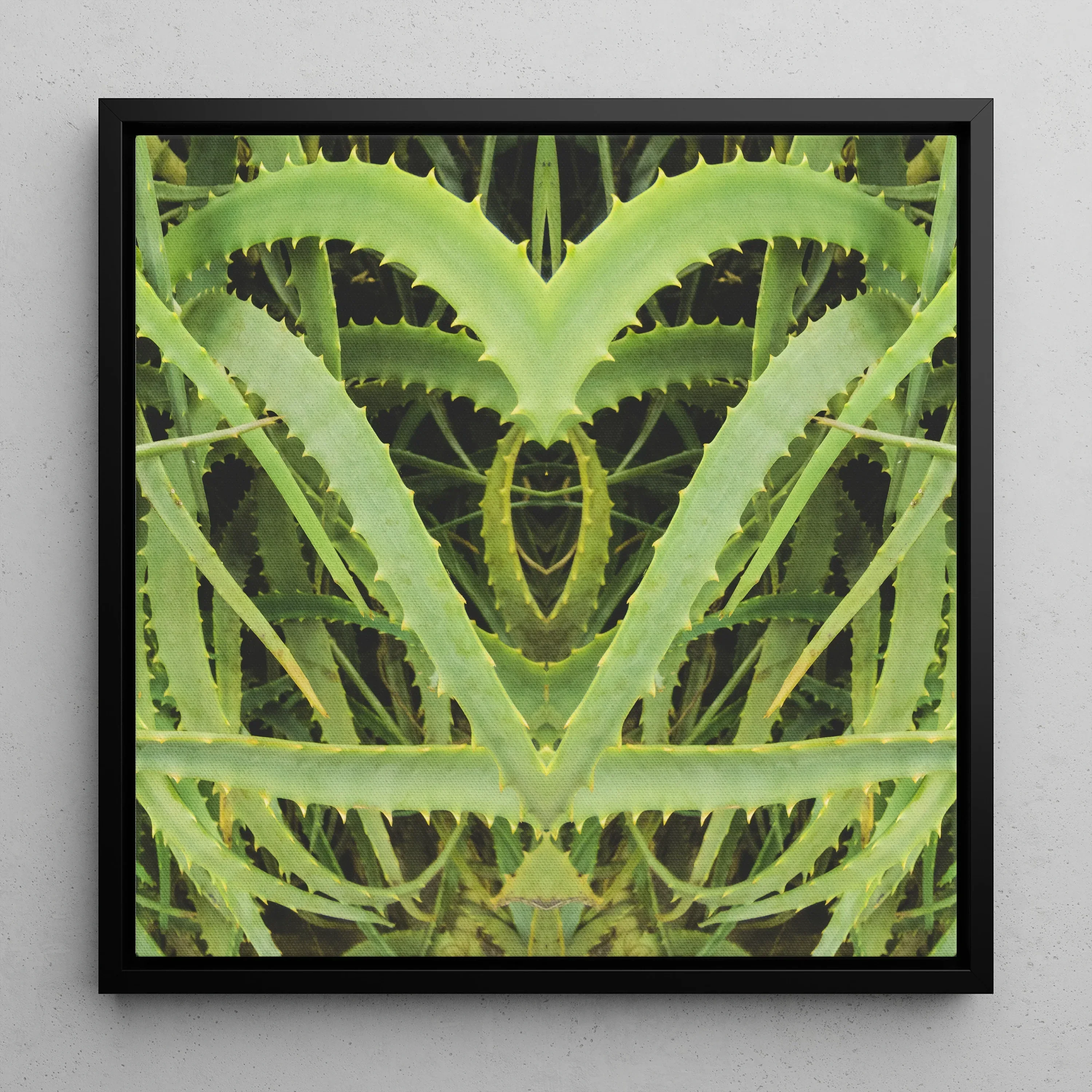 Spiked - Contemporary Aloe Vera Art Framed Canvas, 12x12’’ / 31x31cm / Black Floating Frame, Symmetrical Green Plant Leaves Heart-like