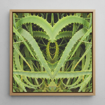 Spiked - Contemporary Aloe Vera Art Framed Canvas, 12x12’’ / 31x31cm / Natural Floating Frame, Framed Canvas Art Symmetrical Abstract