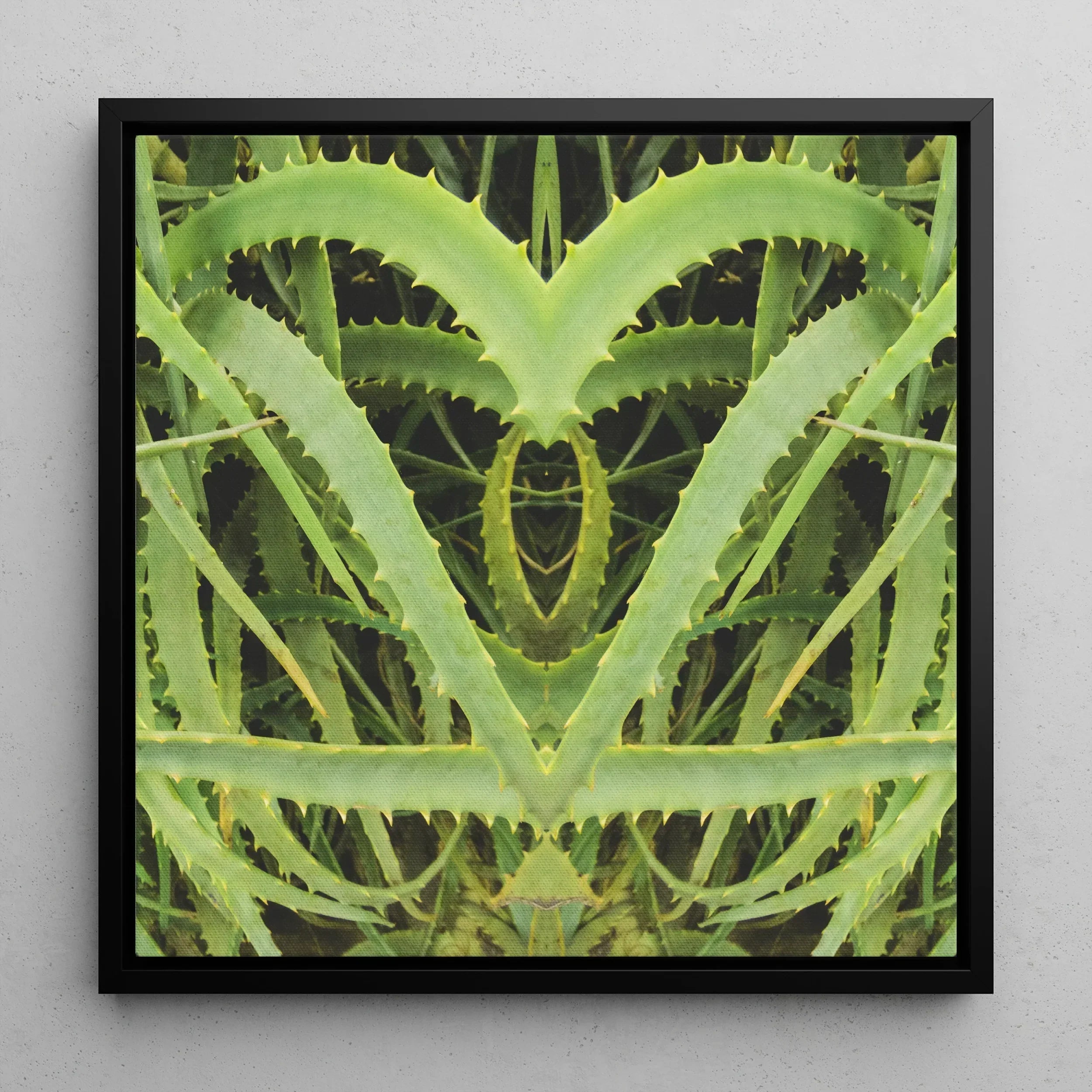 Spiked - Contemporary Aloe Vera Art Framed Canvas, Symmetrical Green Plant Leaves Heart-like Shape Black Frame