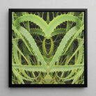 Spiked - Contemporary Aloe Vera Art Framed Canvas Posters Prints & Visual Artwork