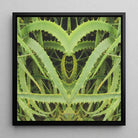 Spiked - Contemporary Aloe Vera Art Framed Canvas