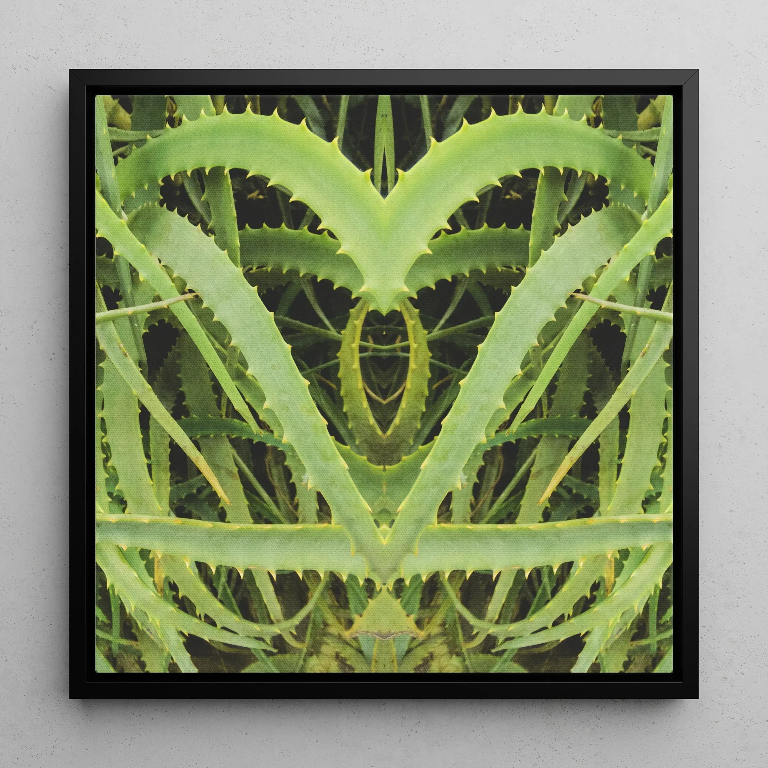 Spiked - Contemporary Aloe Vera Art Framed Canvas