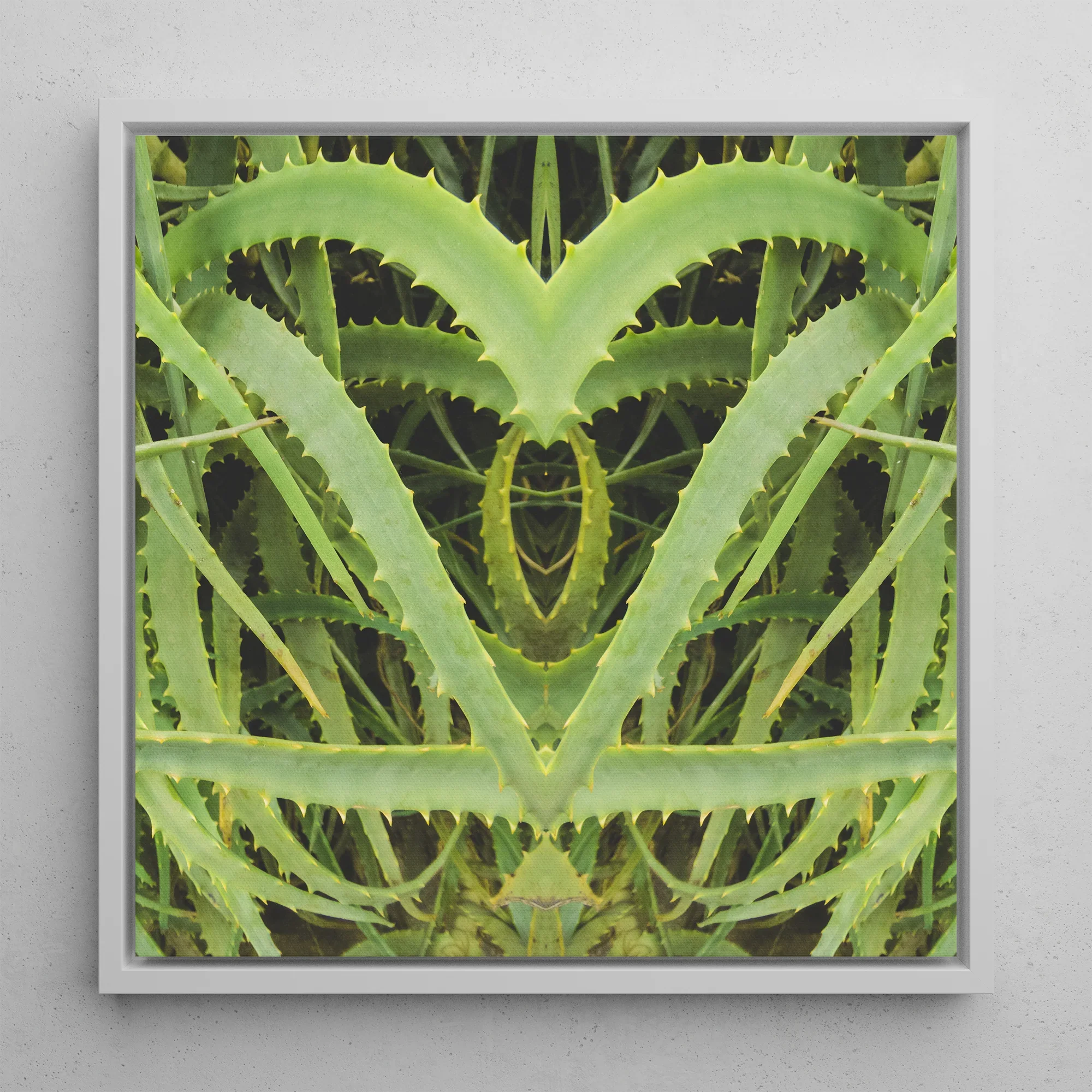 Spiked - Contemporary Aloe Vera Art Framed Canvas, Symmetrical Aloe Vera Plant Art