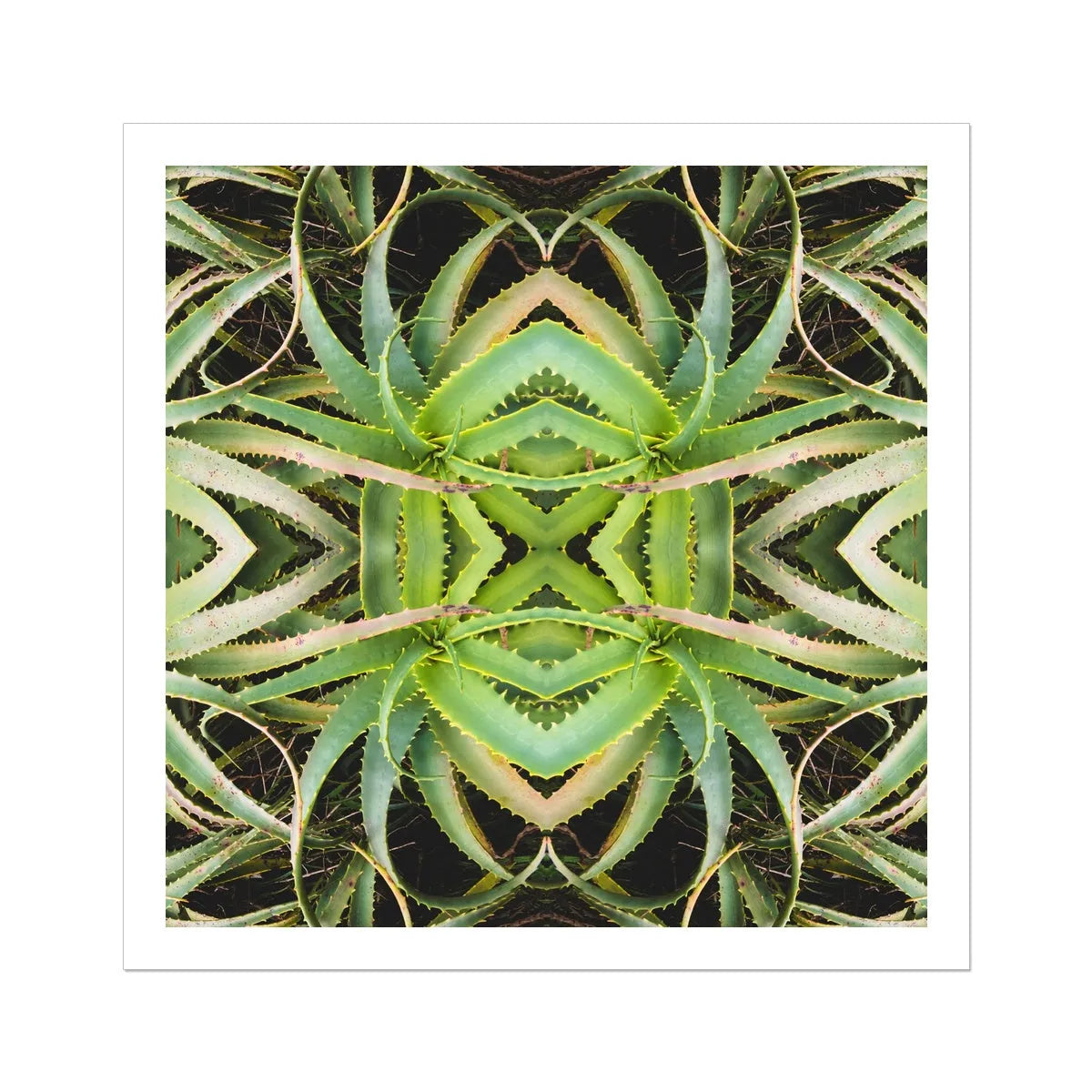 Spiked Too Succulent Art - Modern Botanical Prints - 30’x30’ - Posters Prints & Visual Artwork - Aesthetic Art