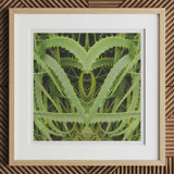 Spiked - Trippy Aloe Vera Botanical Art Print, 12x12’’ / 31x31cm / Natural Frame / 2’’ Matboard, Framed Symmetrical Aloe Vera Plant Art