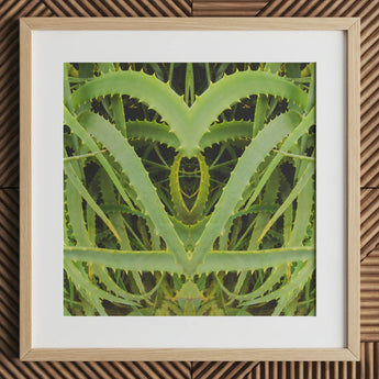 Spiked - Trippy Aloe Vera Botanischer Kunstdruck, 12x12’’ / 31x31cm / Natürlicher Rahmen / 2’’ Passepartout, Poster Drucke & Visuelle Kunstwerke, Toby Leon