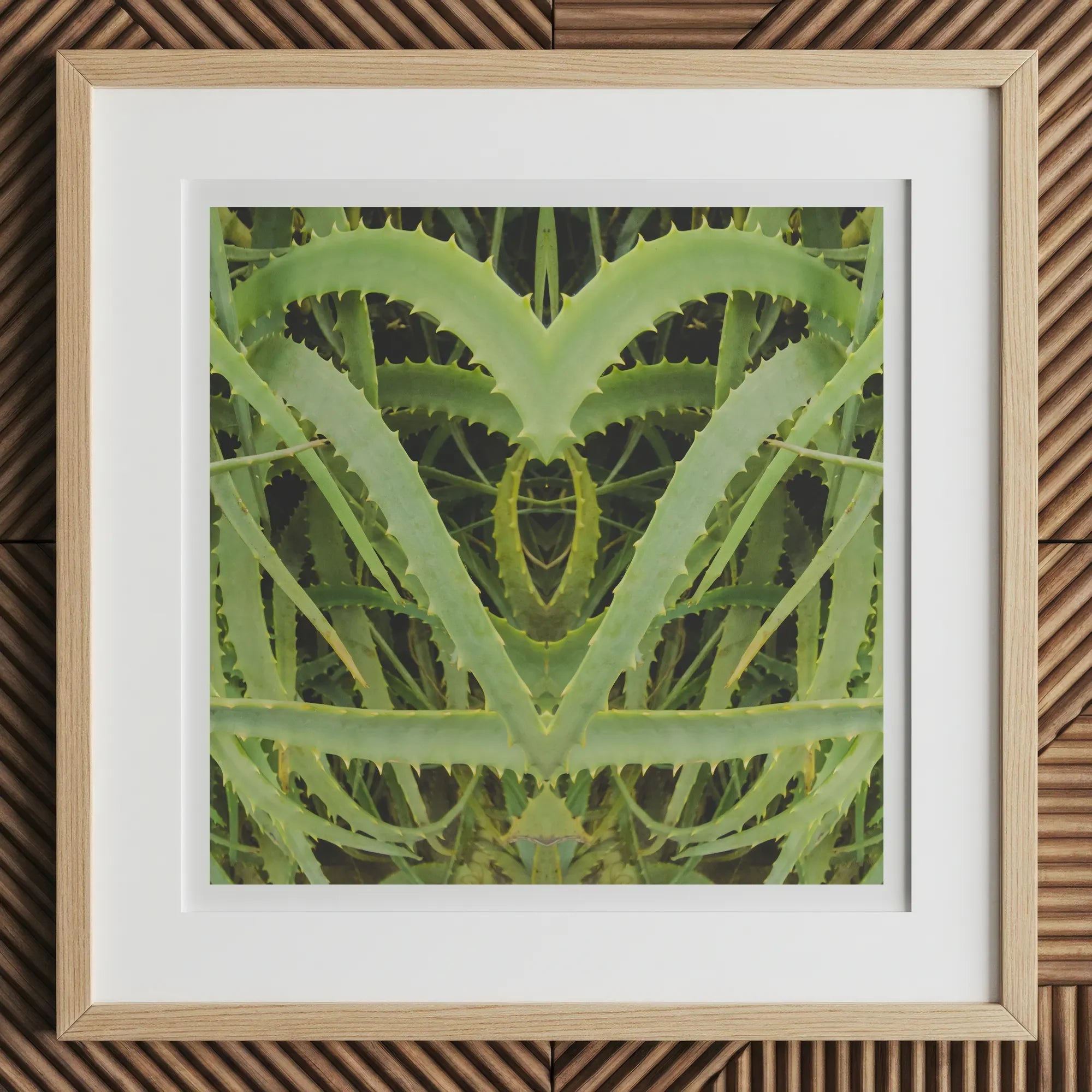 Spiked - Trippy Aloe Vera Botanical Art Print, 12x12’’ / 31x31cm / Natural Frame, Framed Symmetrical Aloe Vera Plant Art Print