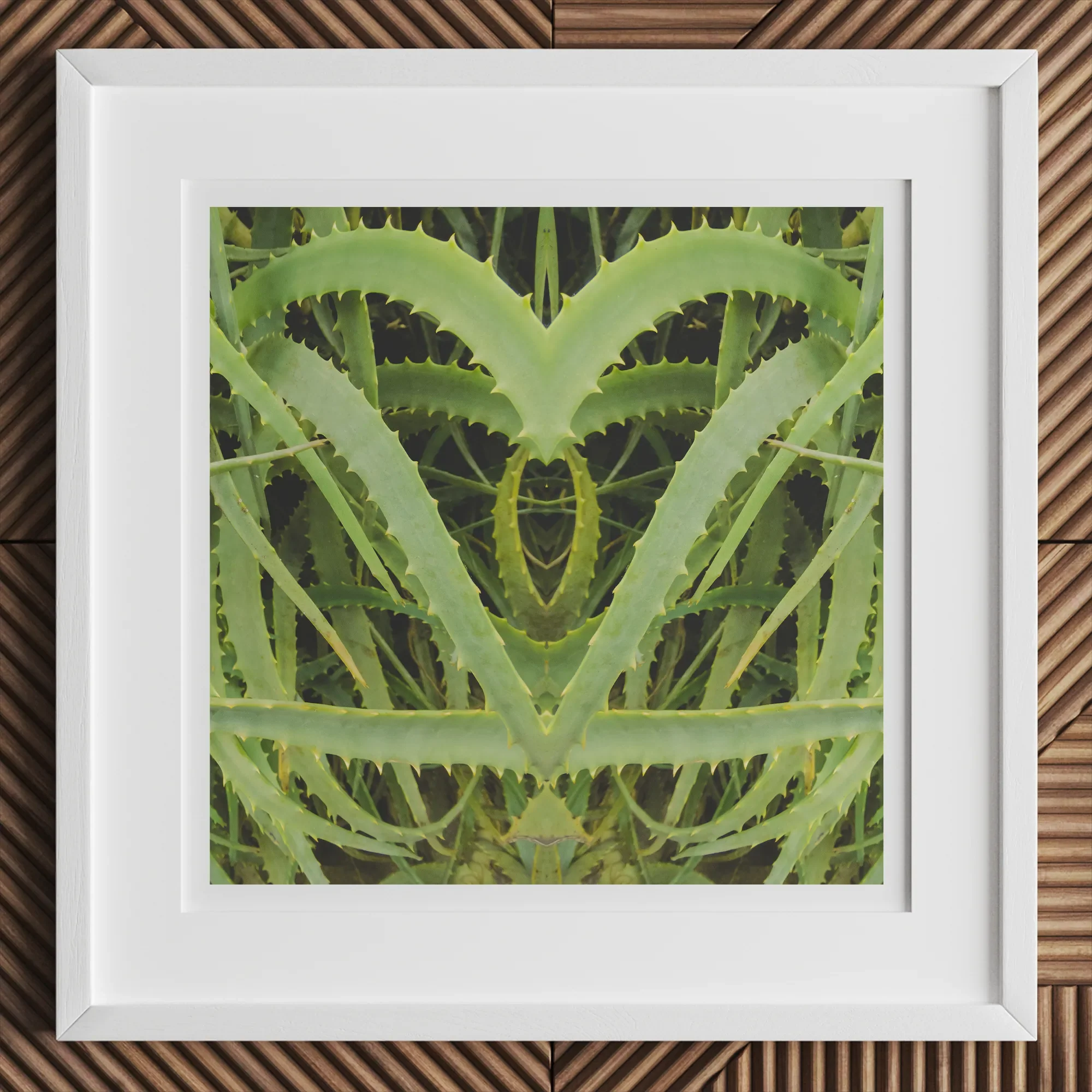 Spiked - Trippy Aloe Vera Botanical Art Print, 12x12’’ / 31x31cm / White Frame, White-framed Picture Aloe Vera Plants