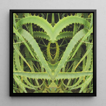 Spiked - Trippy Aloe Vera Botanical Art Print / Canvas, 12x12’’ / 31x31cm / Black Frame, Posters Prints & Visual Artwork, Toby Leon