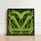 Framed Artwork Symmetrical Heart-shaped Composition Vibrant Green Aloe Humble Vera, Trippy, Botanical
