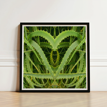 Framed Art Print Symmetrical Heart-shaped Composition Vibrant Green Humble Aloe Vera, Trippy, Botanical