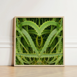 Framed Artwork Symmetrical Heart-shaped Composition Vibrant Green Aloe Humble Vera, Trippy, Botanical