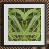 Spiked - Trippy Aloe Vera Botanical Art Print / Canvas Framed Art Print Symmetrical Heart-shaped Composition Vibrant Green Humble Aloe
