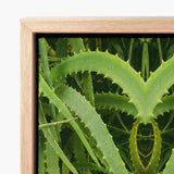 Wood-framed Canvas Print Symmetrical Kaleidoscopic Design Vibrant Green Humble Aloe Vera, Trippy, Botanical