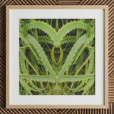 Spiked - Trippy Aloe Vera Botanical Art Print / Canvas, Humble Aloe Vera, Trippy Aloe Vera, Aloe Vera Botanical