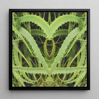 Spiked - Trippy Aloe Vera Botanical Art Print / Canvas, Humble Aloe Vera, Trippy Aloe Vera, Aloe Vera Botanical