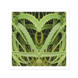 Spiked - Trippy Aloe Vera Botanical Art Print / Canvas Mirrored Aloe Vera Plant Leaves Heart-like Shape Humble Vera, Trippy Botanical