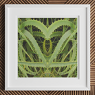 Spiked - Trippy Aloe Vera Botanical Art Print Posters Prints & Visual Artwork