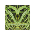 Spiked - Trippy Aloe Vera Botanical Art Print Posters Prints & Visual Artwork