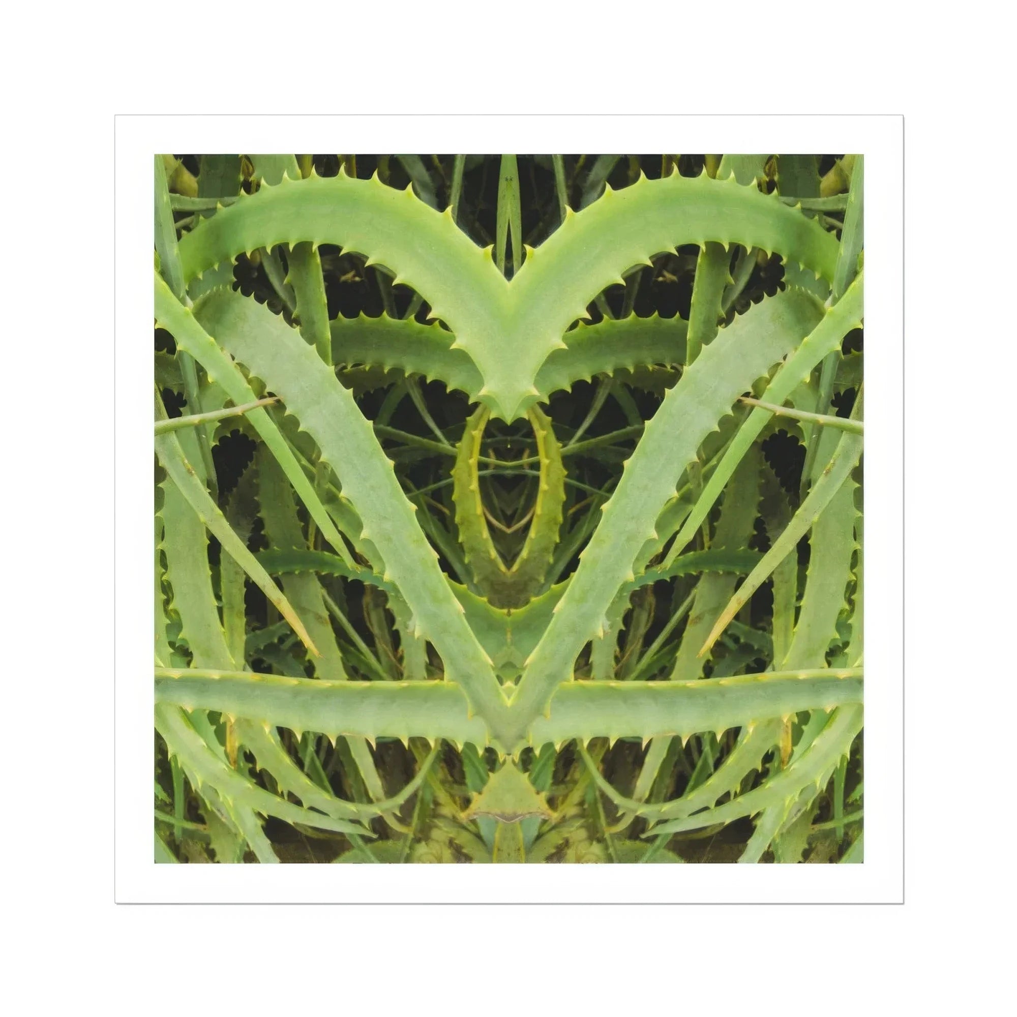 Spiked - Trippy Aloe Vera Botanical Art Print, Mirrored Aloe Vera Plant Leaves Heart-like Shape