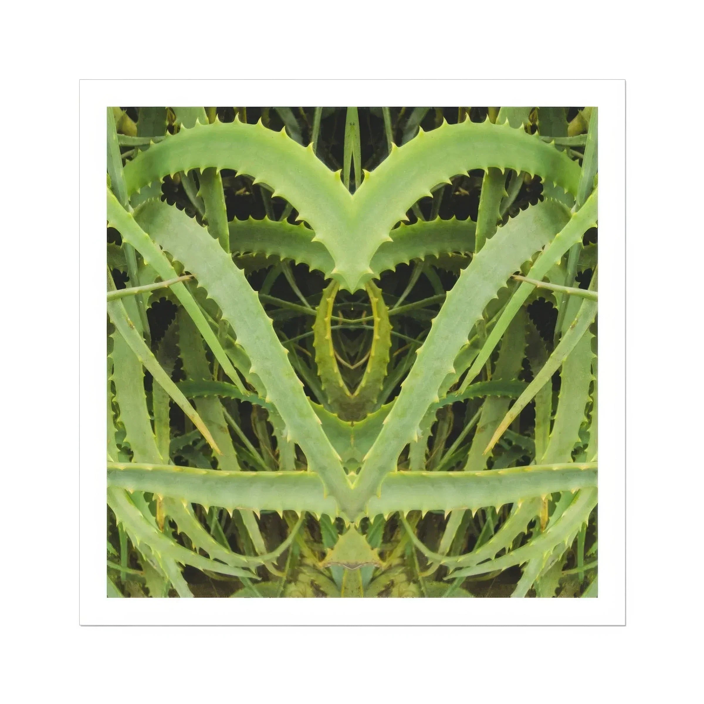 Spiked - Trippy Aloe Vera Botanical Art Print, Mirrored Aloe Vera Plant Leaves Heart-like Shape