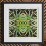 Spiked too - Trippy Aloe Vera Botanical Op Art Print, 12x12’’ / 31x31cm / Black Frame / 2’’ Matboard, Framed Piece Abstract Art Symmetrical