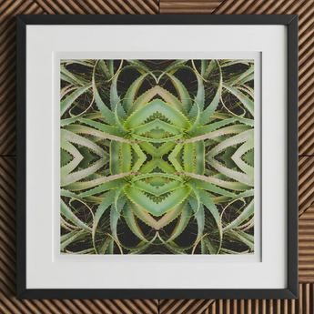 Spiked too - Trippy Aloe Vera Botanical Op Art Print, 12x12’’ / 31x31cm / Black Frame / 2’’ Matboard, Framed Piece Abstract Art Symmetrical