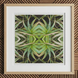 Spiked too - Trippy Aloe Vera Botanical Op Art Print, 12x12’’ / 31x31cm / Natural Frame / 2’’ Matboard, Framed Matted Print Symmetrical
