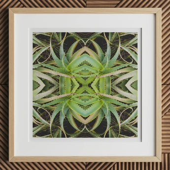 Spiked too - Trippy Aloe Vera Botanical Op Art Print, 12x12’’ / 31x31cm / Natural Frame / 2’’ Matboard, Framed Matted Print Symmetrical