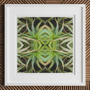 Spiked too - Trippy Aloe Vera Botanical Op Art Print, 12x12’’ / 31x31cm / White Frame / 2’’ Matboard, Framed Abstract Artwork Green Aloe