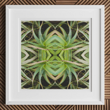 Spiked too - Trippy Aloe Vera Botanical Op Art Print, 12x12’’ / 31x31cm / White Frame / 2’’ Matboard, Framed Abstract Artwork Green Aloe